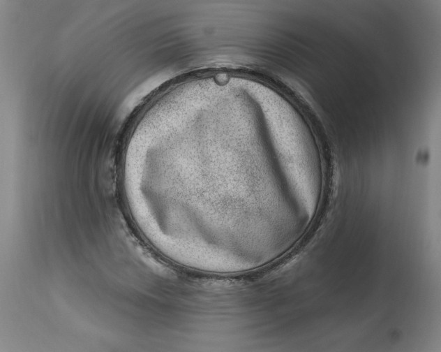 X0000113631018200910091551