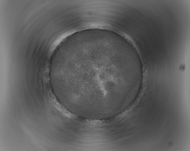X0000113631019200910091551