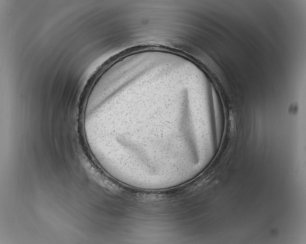 X0000113631020200910091551
