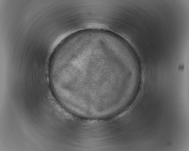 X0000113631022200910091551