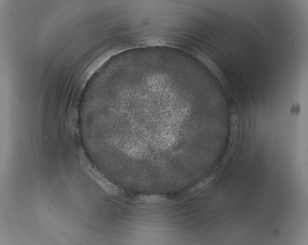 X0000113631023200910091551