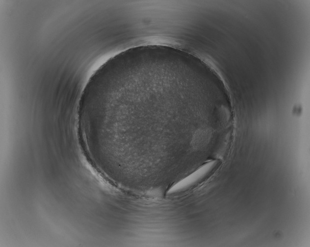X0000113631024200910091551