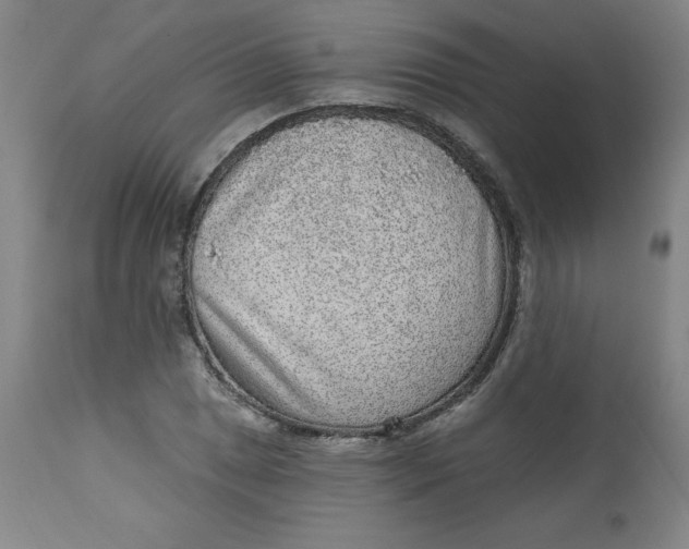 X0000113631025200910091551