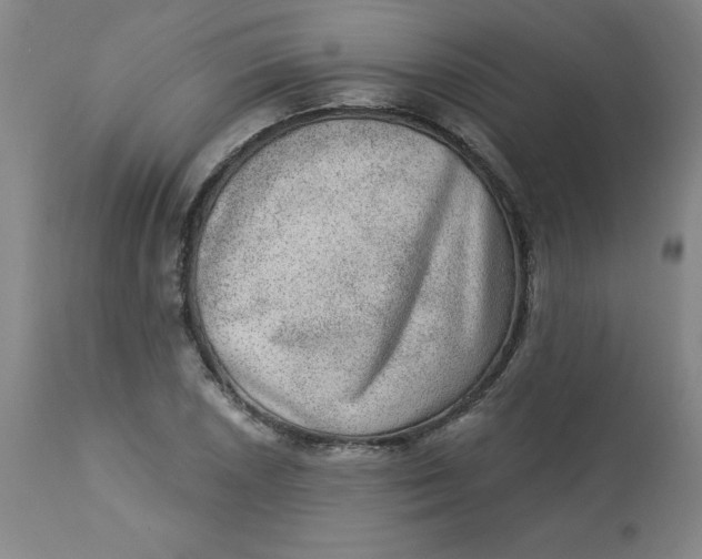 X0000113631026200910091551