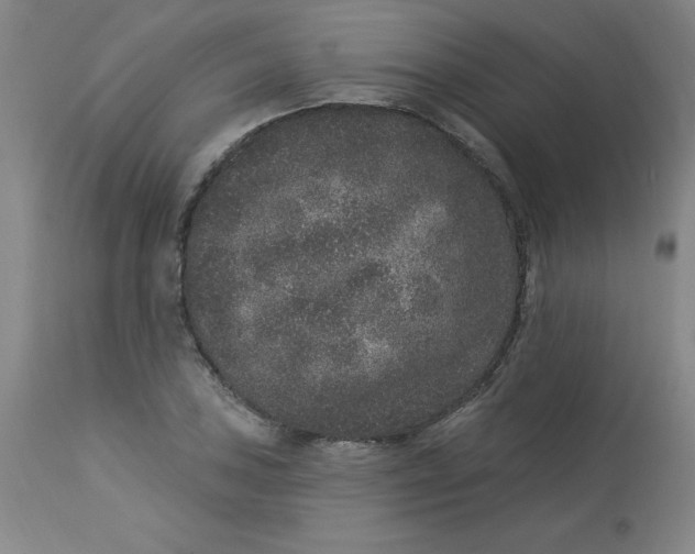 X0000113631027200910091551