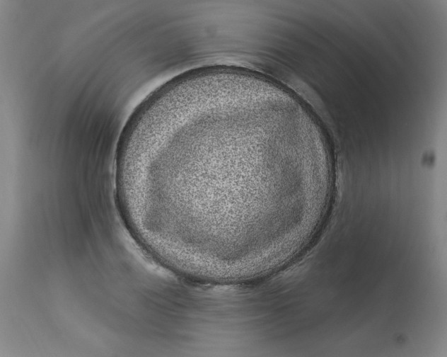 X0000113631028200910091551