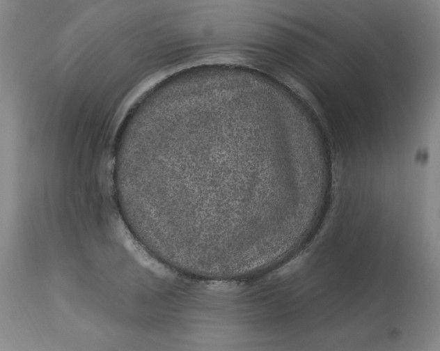X0000113631029200910091551
