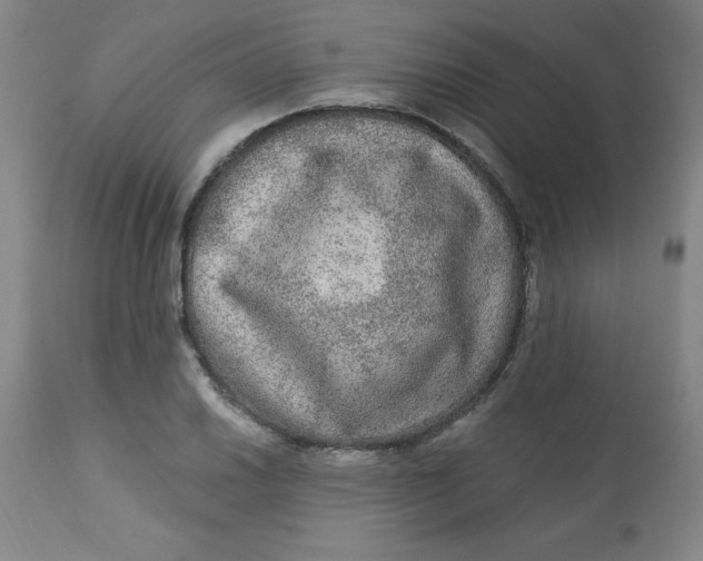 X0000113631030200910091551