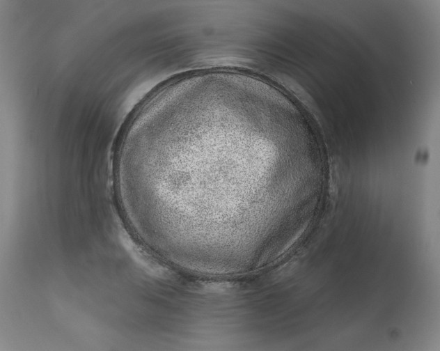 X0000113631031200910091551