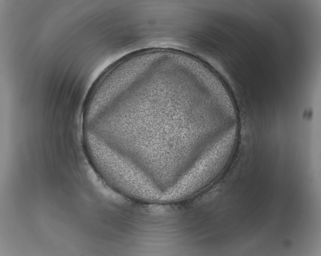X0000113631032200910091551