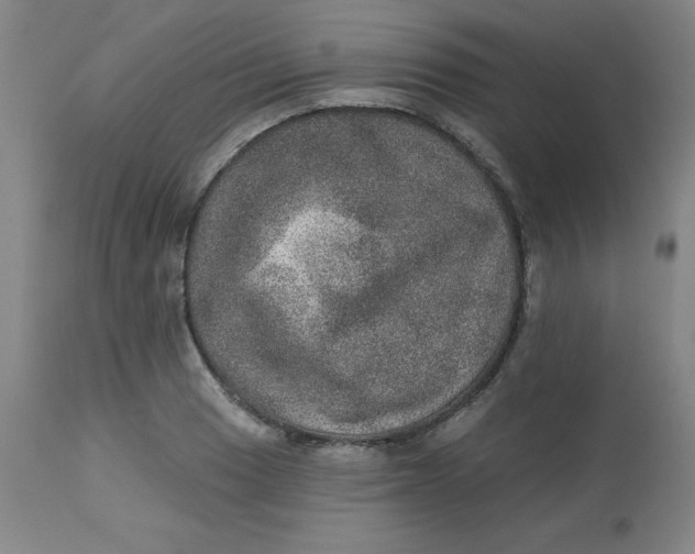 X0000113631033200910091551