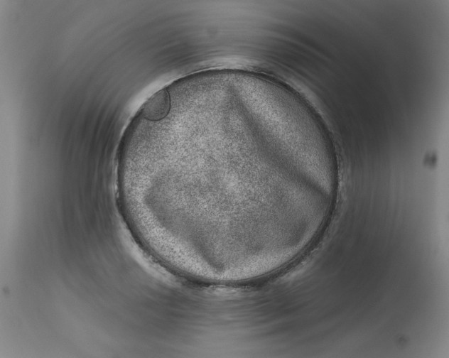 X0000113631034200910091551