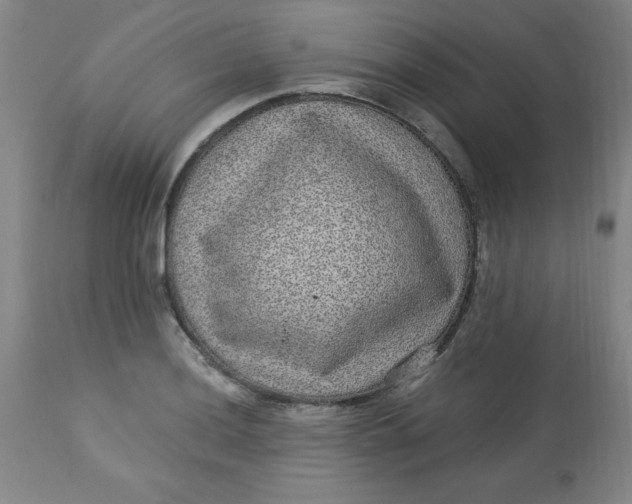 X0000113631036200910091551