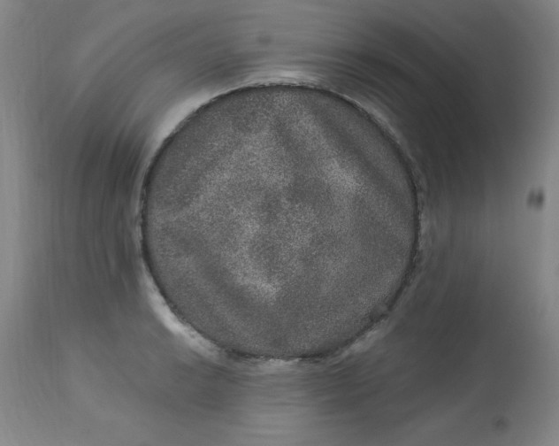 X0000113631038200910091551