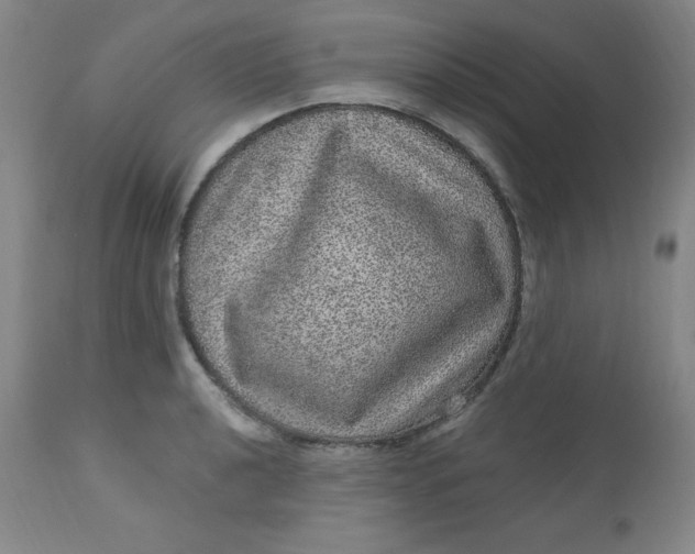 X0000113631040200910091551