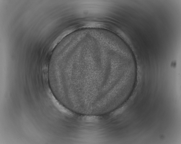 X0000113631041200910091551