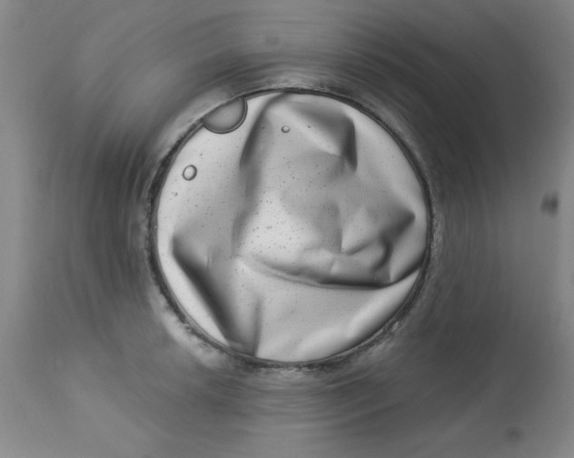 X0000113631042200910091551