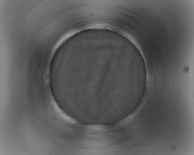 X0000113631045200910091551