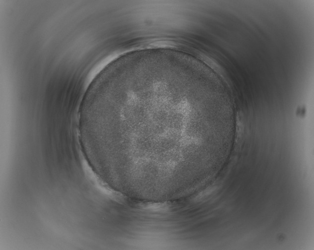 X0000113631047200910091551