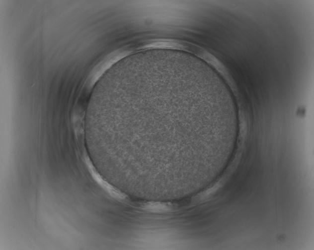 X0000113631049200910091551