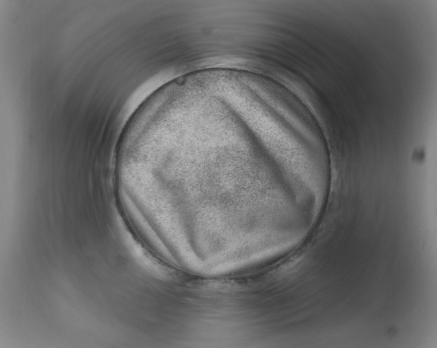 X0000113631050200910091551