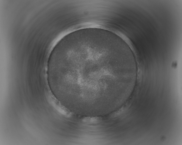 X0000113631051200910091551