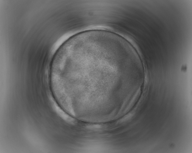 X0000113631054200910091551