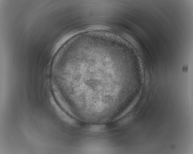 X0000113631055200910091551