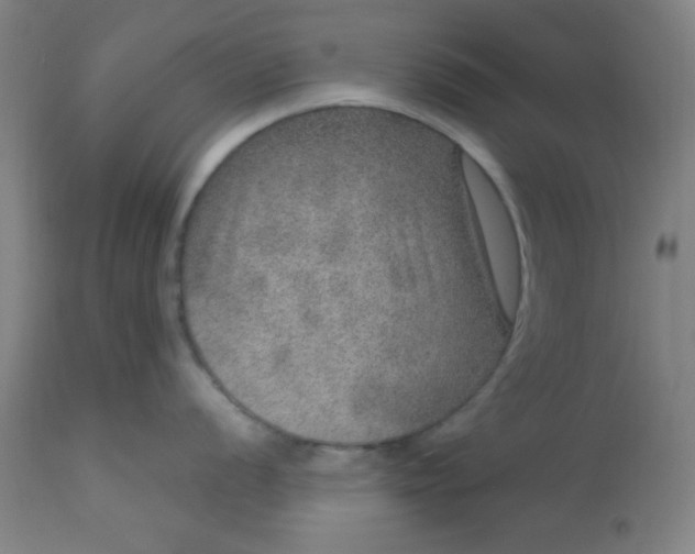 X0000113631056200910091551