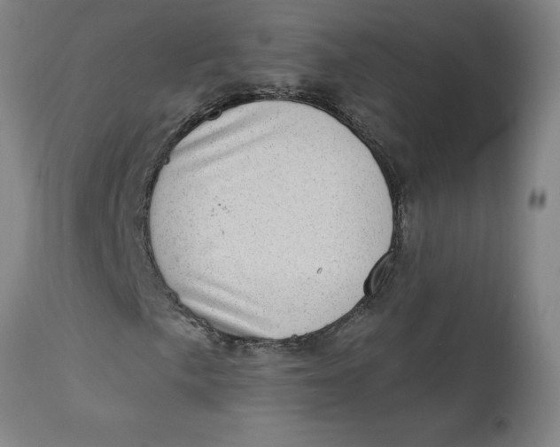 X0000113631057200910091550