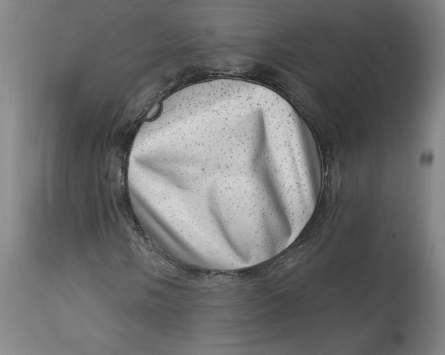 X0000113631058200910091550