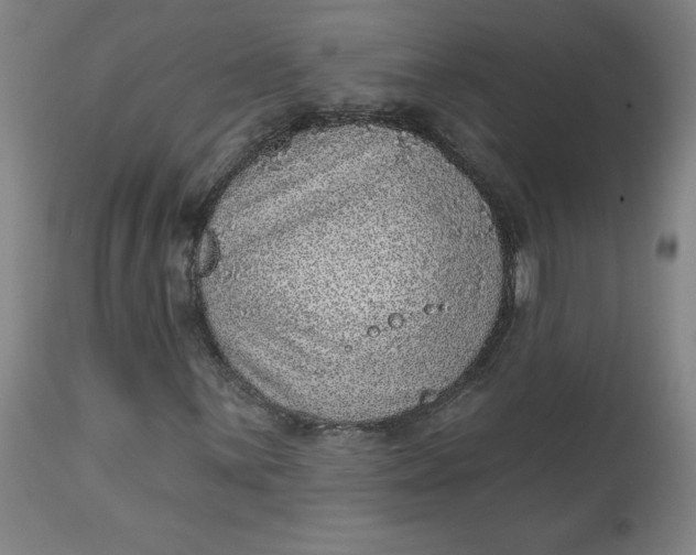 X0000113631059200910091550