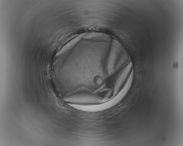 X0000113631060200910091550