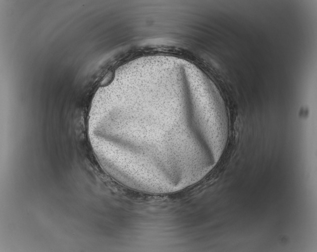 X0000113631062200910091550