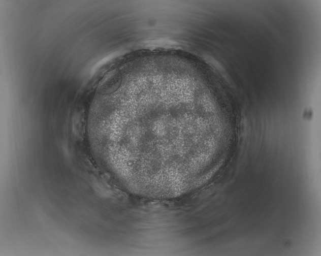 X0000113631063200910091550