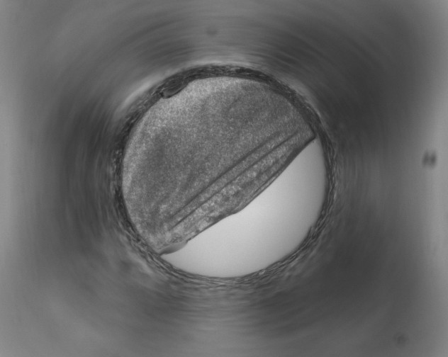 X0000113631064200910091550