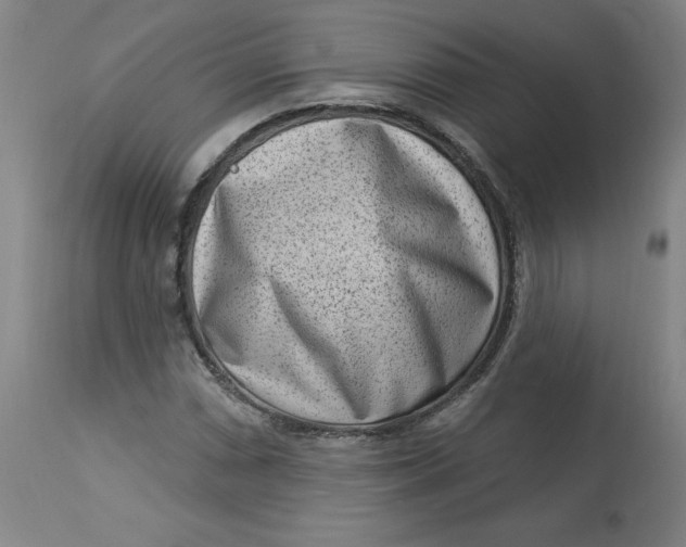 X0000113631066200910091550