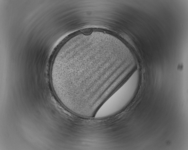 X0000113631068200910091550