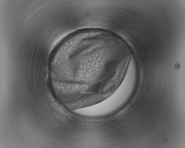 X0000113631069200910091550