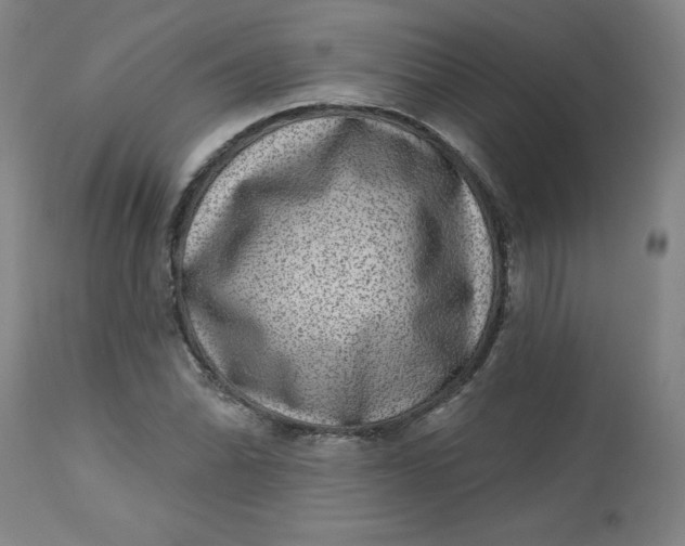 X0000113631070200910091550