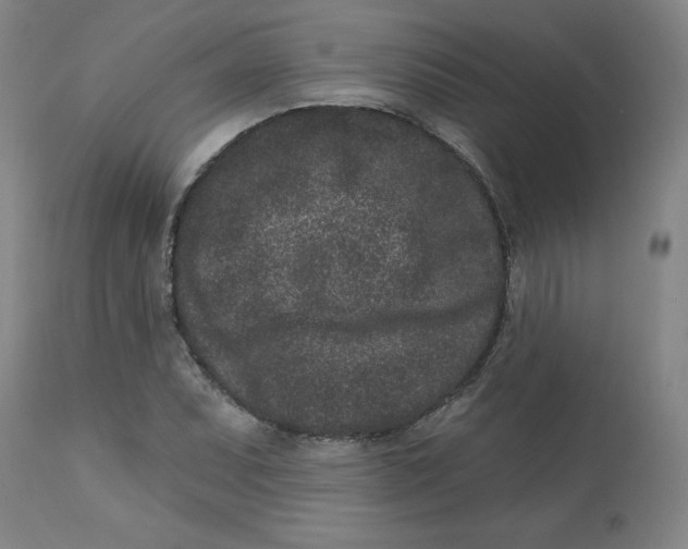 X0000113631071200910091550
