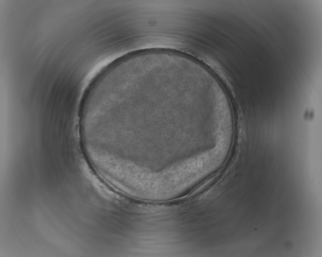 X0000113631072200910091550