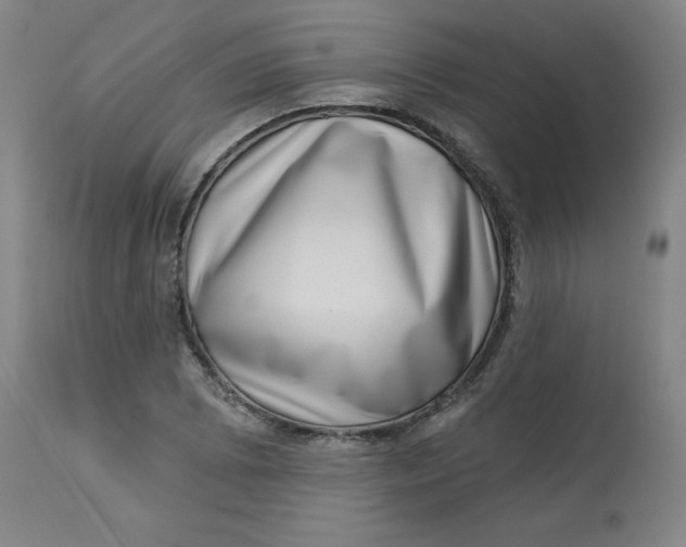 X0000113631073200910091550