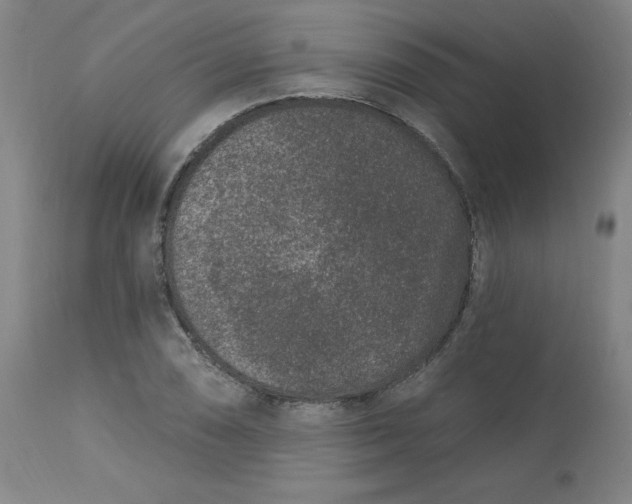 X0000113631074200910091550