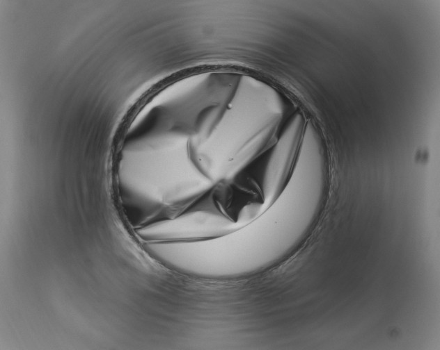 X0000113631076200910091550