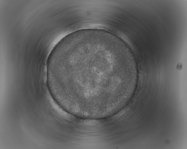 X0000113631079200910091550
