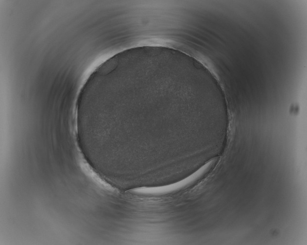 X0000113631080200910091550