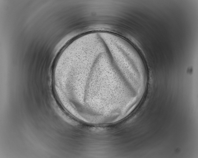 X0000113631082200910091550
