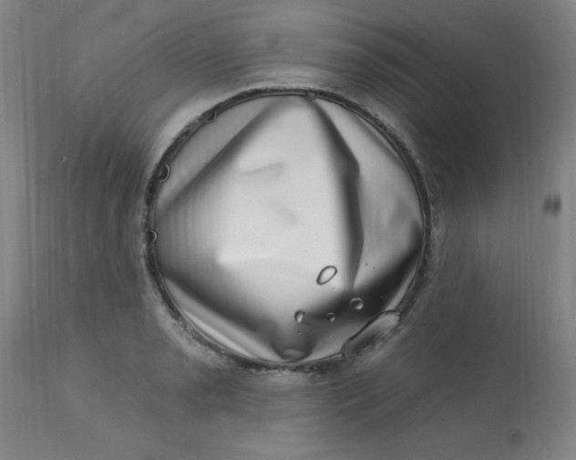 X0000113631085200910091550