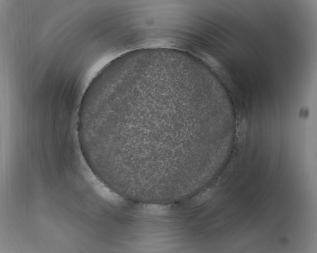 X0000113631086200910091550